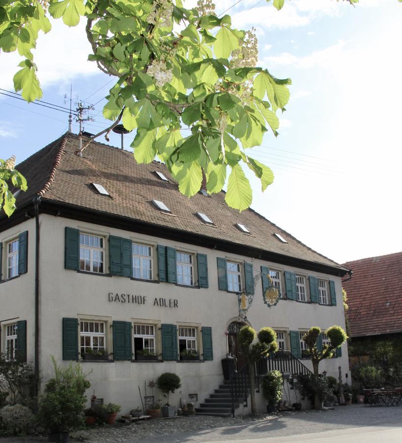 Adler Oberdorf * Langenargen